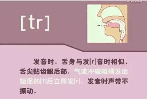 英语音标48个发音有趣教学视频,英语音标48个发音快速记忆