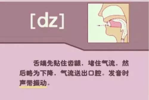 英语48个音标发音详细教程,英语48个音标的正确发音和技巧