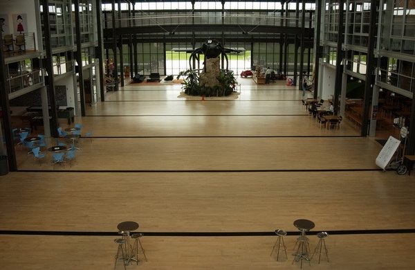 七个世界巨头的总部办公