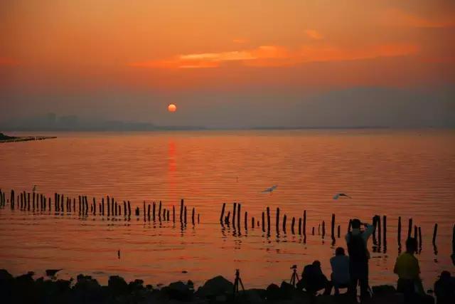 深圳夜间骑行十大最佳路线,深圳最舒服的骑行路线