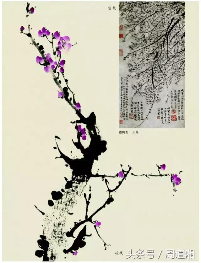 梅花花朵的国画画法视频,大写意梅花枝干国画画法