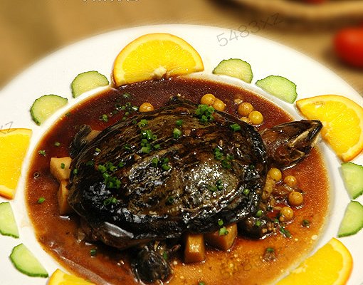 冬天甲鱼怎么样放才不死,这个季节甲鱼适合怎么吃