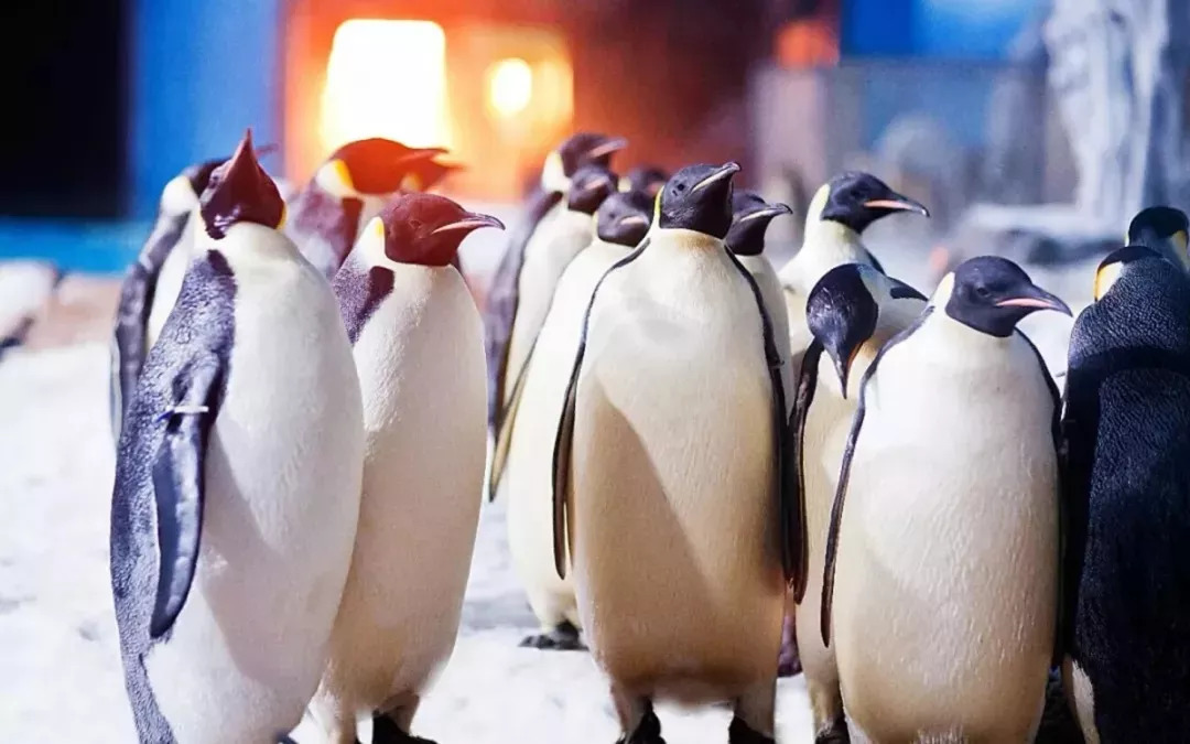 跟炎炎夏日说拜拜,跟炎热的夏天说再见