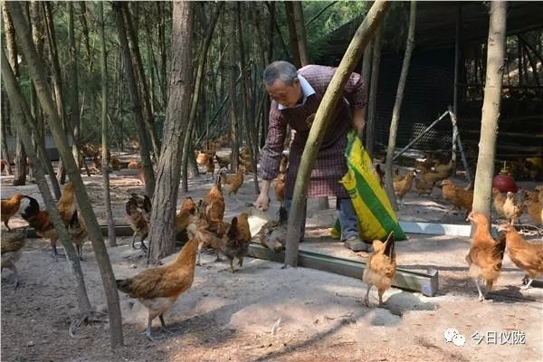 cctv7致富经摄制组,cctv7致富经农业种植