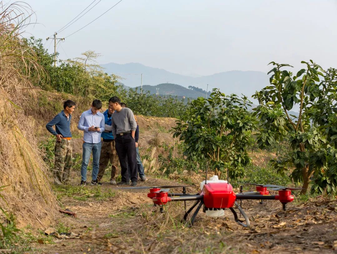 抖音直播、无人机施肥、局长站台，看90后新农人怎样玩转家乡蜜柚