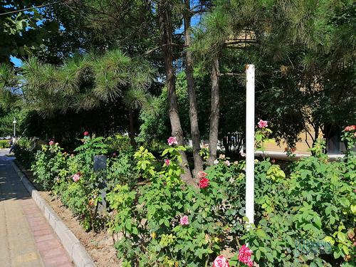 两千年前的荣耀8x评测,荣耀8x评测优缺点