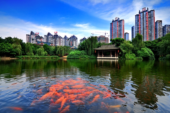 九龙坡环境比较好的地方,九龙坡最好的地方