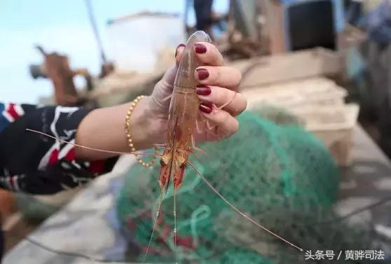 黄骅本地人吃海鲜的地方,黄骅海鲜干货