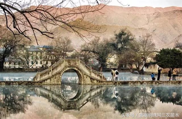 黄山旅游攻略黟县民宿景点,黄山宏村千岛湖西塘旅游攻略