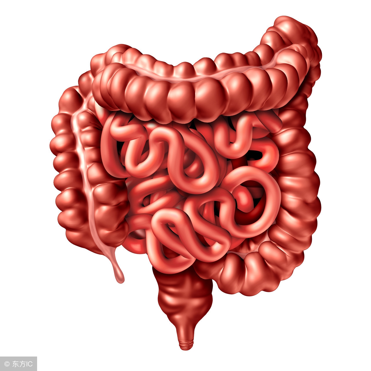 直肠癌手术中应该注意的7个要点