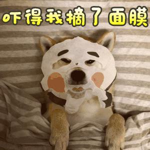 扒一扒火爆的猪皮面膜真面目,扒一扒骗人的日本药妆