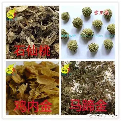 冷背中药材名录大全,冷背中药材批发大全