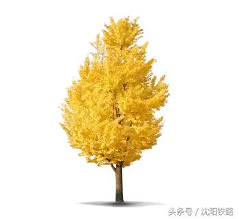 暑假最后一天学生们会怎么办,暑假最后一周学生们会怎么办