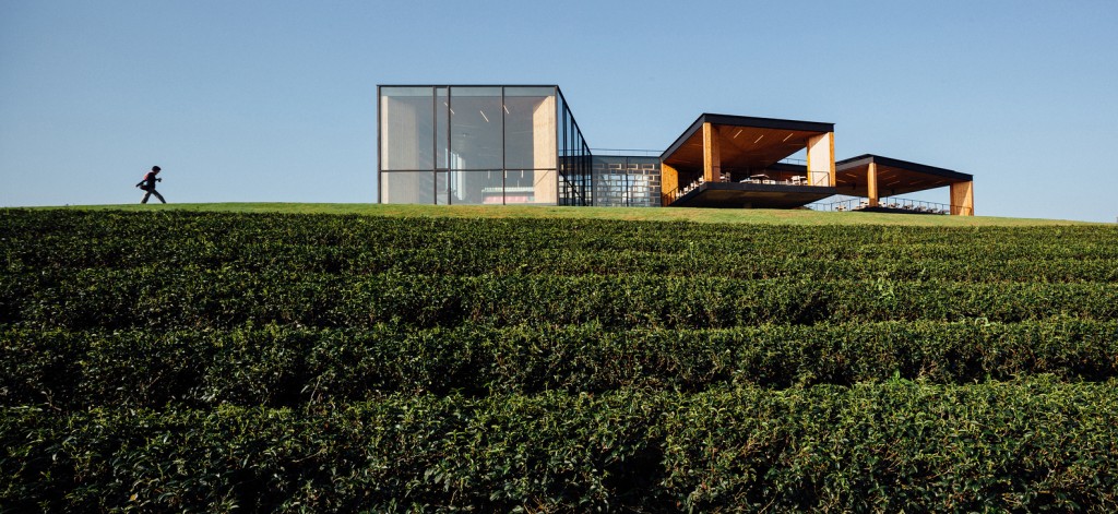 植于遍山茶树间茶馆──泰国翠峰ChouiFong