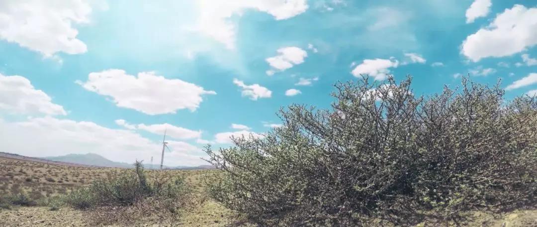 宁夏究竟是怎么样的一个地方,宁夏很贫困吗