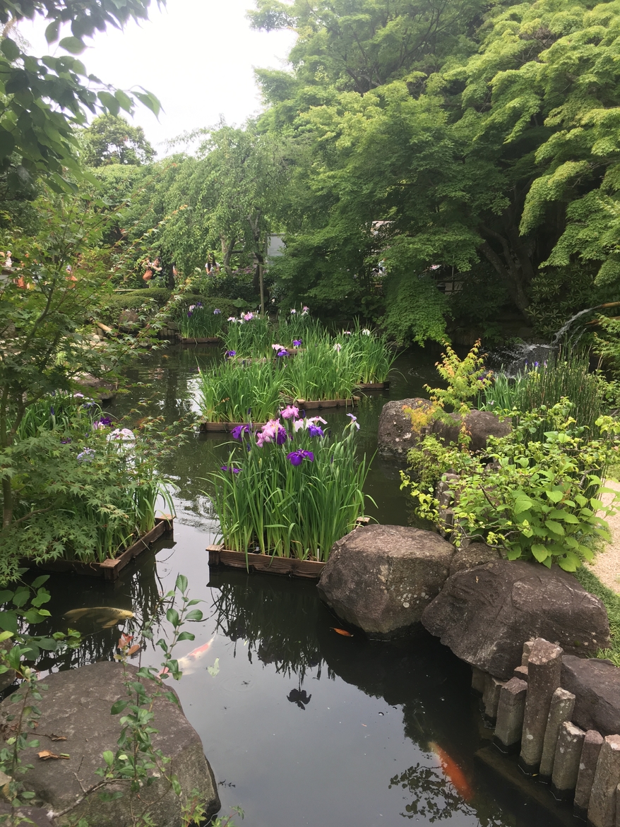带着日本女友回农村过年,带你走进日本风土人情