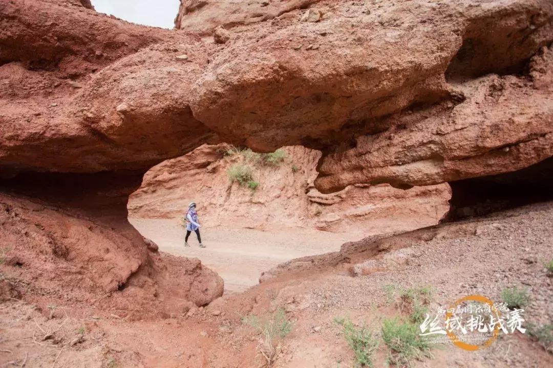 姊﹀洖寮犳帠姝屾洸,姊﹀洖寮犳帠