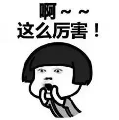 石家庄二中现在实力如何,石家庄二中全面介绍