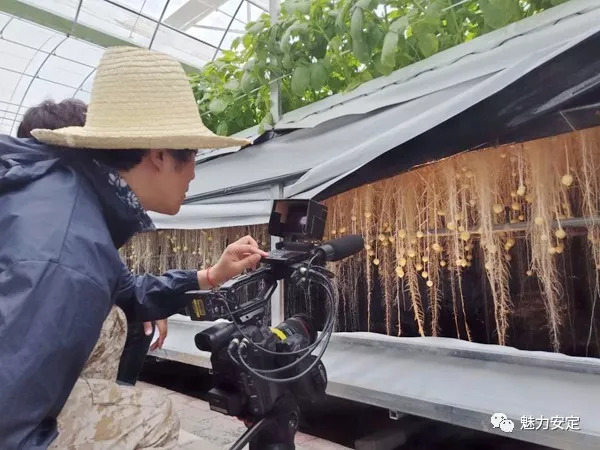 【媒体看香泉】高科技产业精准扶贫靠什么——扶贫点上看变化之安定区篇