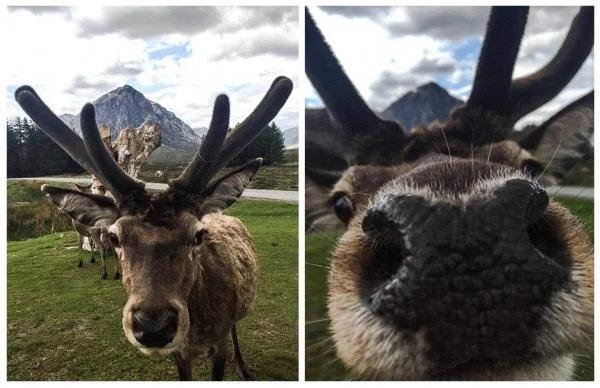 动物搞笑视频抓拍一瞬间,盘点动物搞笑瞬间视频