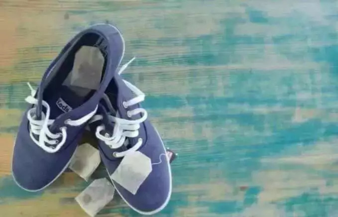 家居除臭必备神器,居家清洁之宝