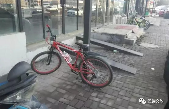 一路向东青岛之行,一路向北去山东日照