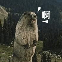 医生给患者做包皮手术被惊呆,医生动手术被惊呆