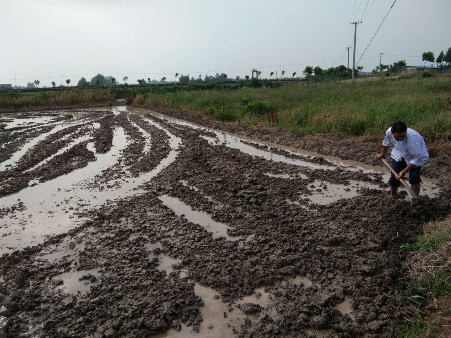 90后大学生返乡种地记录生活点滴 (90后大学生返乡种地)