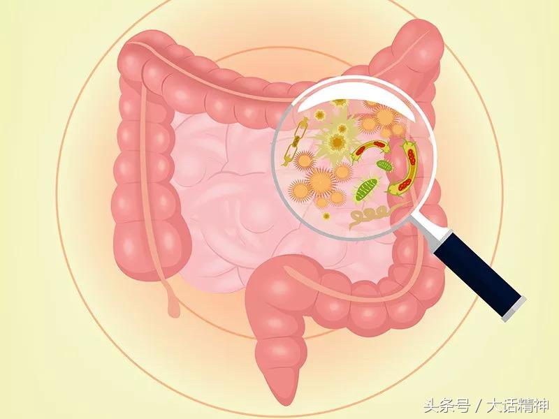 微生物和肠道疾病,微生物肠道