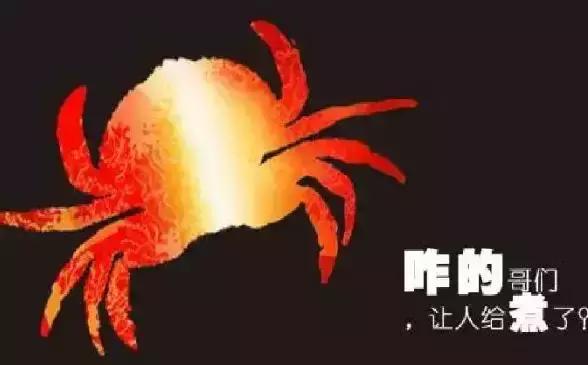 这些广告你都看过吗？