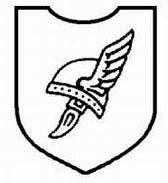 二战德国*党**卫军45个作战师的名称标志的由来以及他们之间的区别