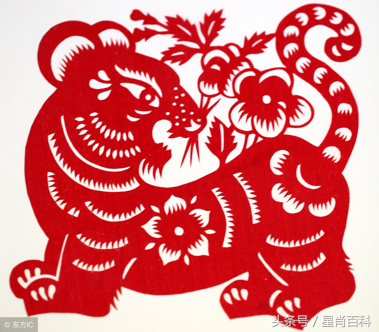 怎样佩戴十二生肖守护佛,吉祥物怎么戴身上不会掉