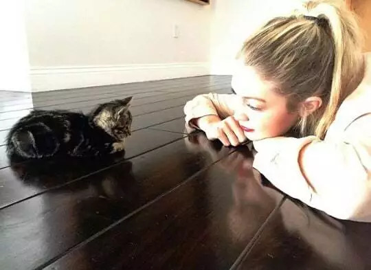 维密超模猫咪,维密秀猫咪