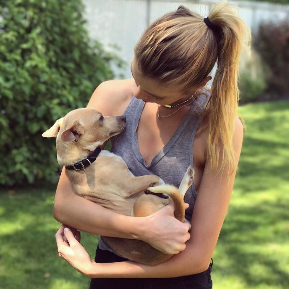 维密超模猫咪,维密秀猫咪