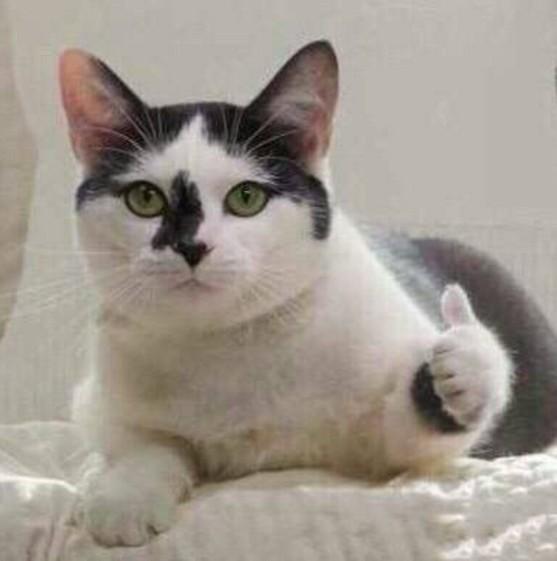 绾厓鐪熷亣杈ㄥ埆,绾厓鎬庝箞閴村畾鐪熷亣