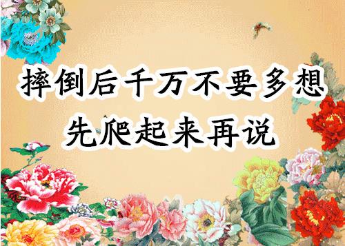 会动的图片大全大图,会动的花动态图片