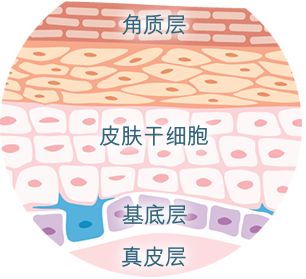 科普关于干细胞你应该知道什么,科普造血干细胞移植过程视频