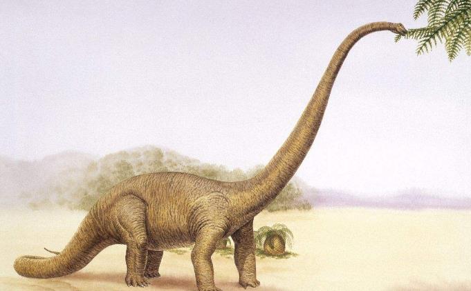 六角恐龙肚子变大是怎么回事,恐龙为什么这么大