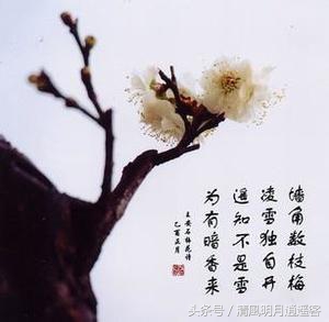 力热声光，跟着古诗学物理