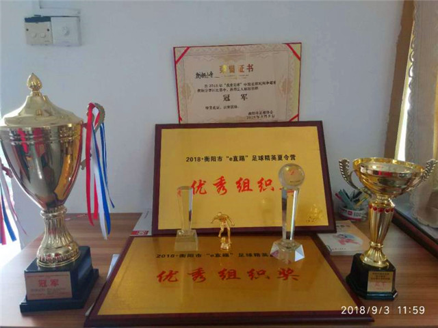 湖南县市区足球赛开幕,湖南青少年足球省运会