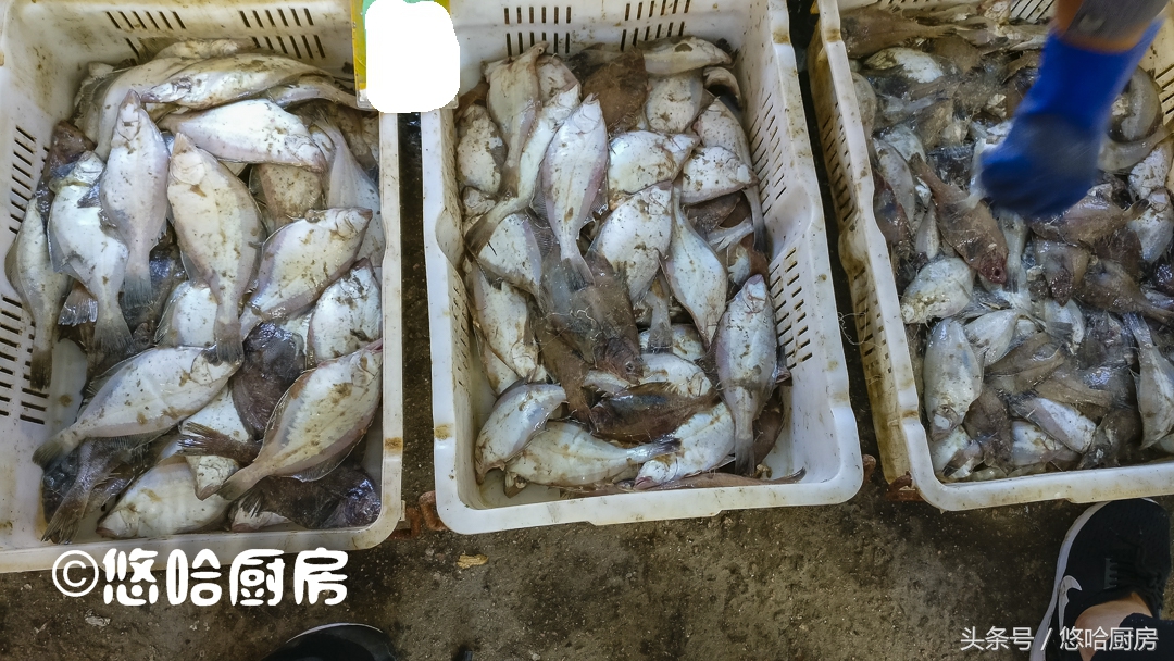 秋季吃什么海鲜便宜还好吃,秋季吃海鲜大全