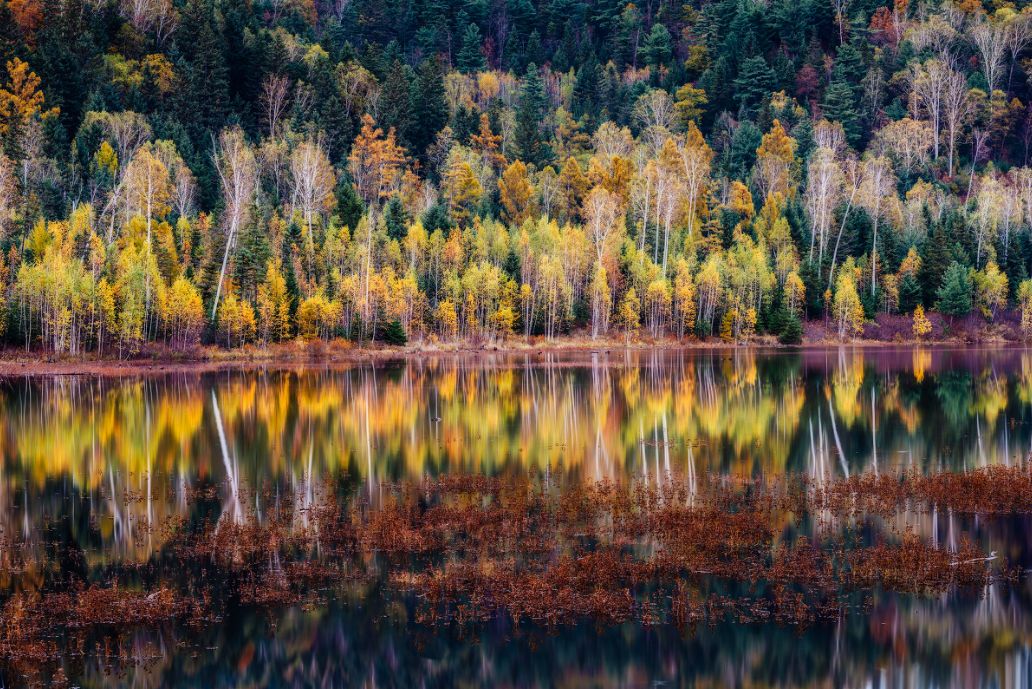 我存了256G的小黄片想和你深夜一起看