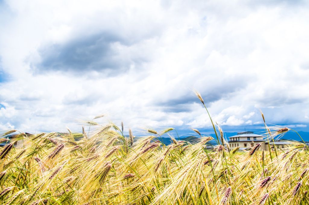 我存了256G的小黄片想和你深夜一起看