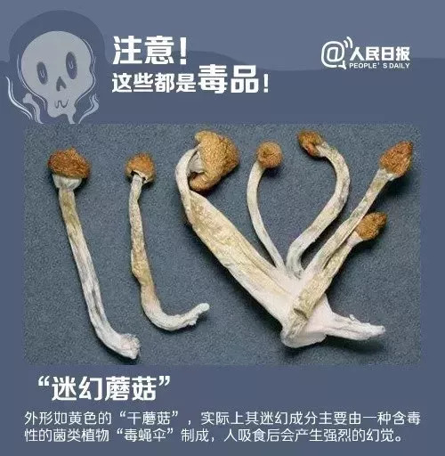 蓝精灵对人体有什么危害,新型毒品蓝精灵加酒的危害