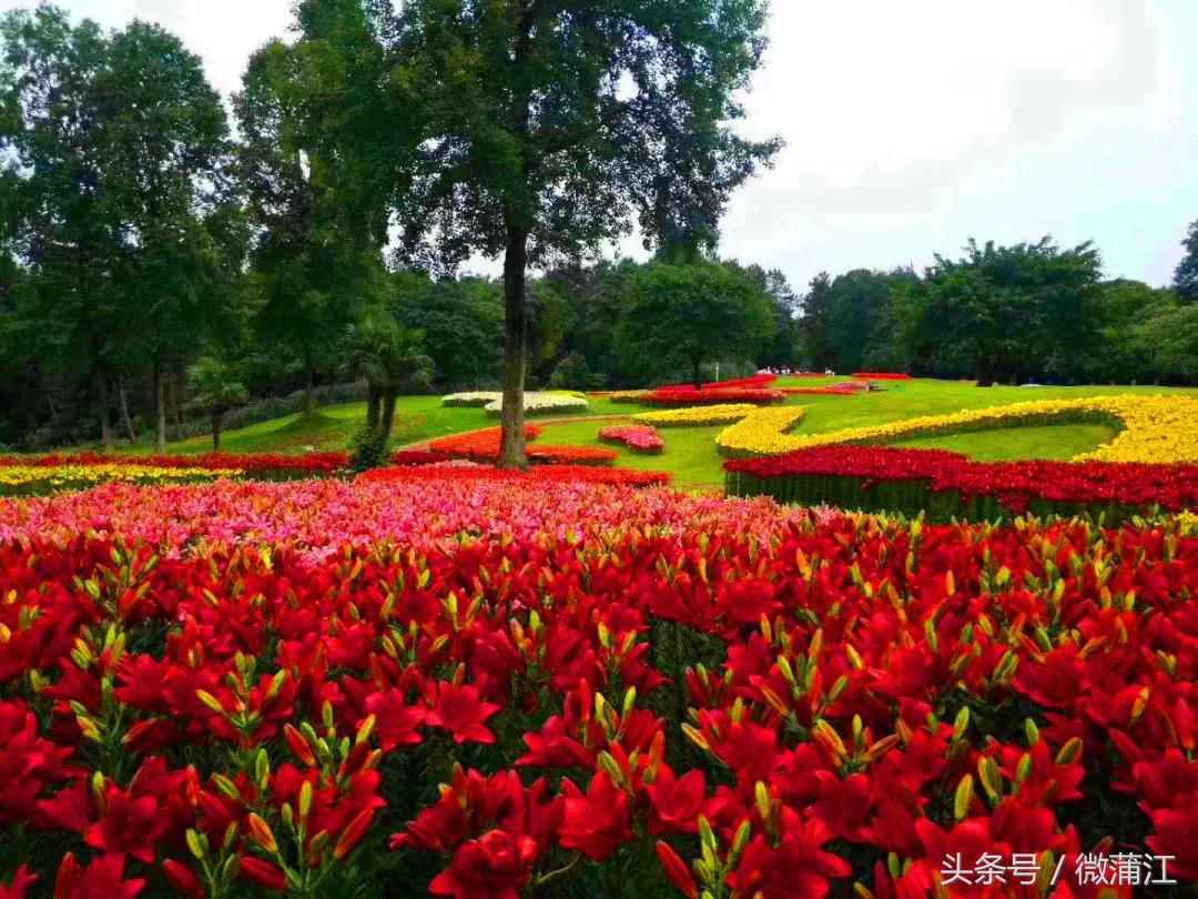 于城市后花园遇见生活美学石象湖景区美skr人！