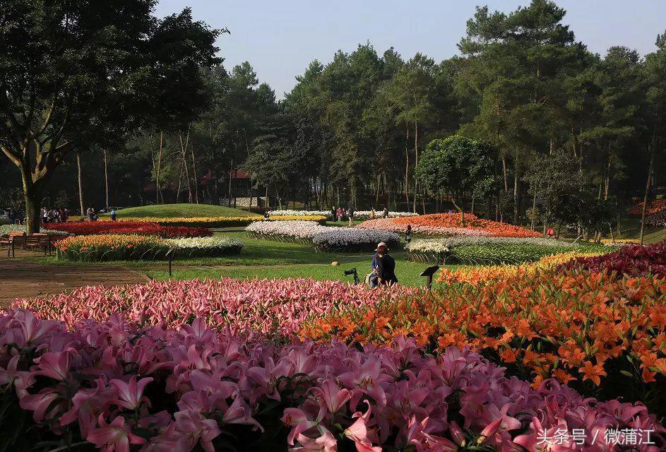 于城市后花园遇见生活美学石象湖景区美skr人！