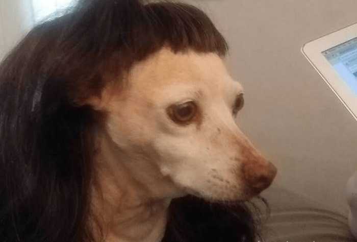 20个你会哭着点头的悲剧理发经验