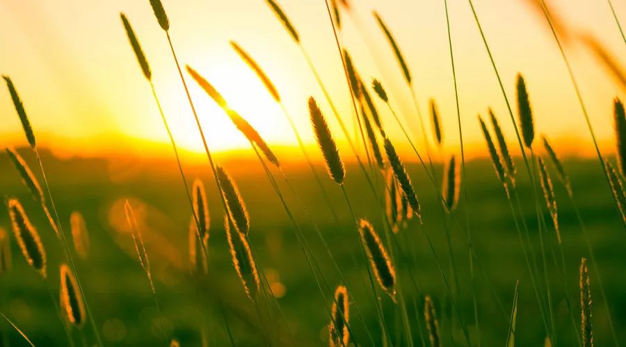 一位肿瘤患者的三年抗癌荆棘路，希望她的经历能帮你少走弯路……