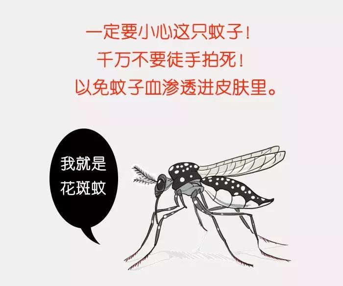 广西恙虫高发期,危险警告八种毒虫