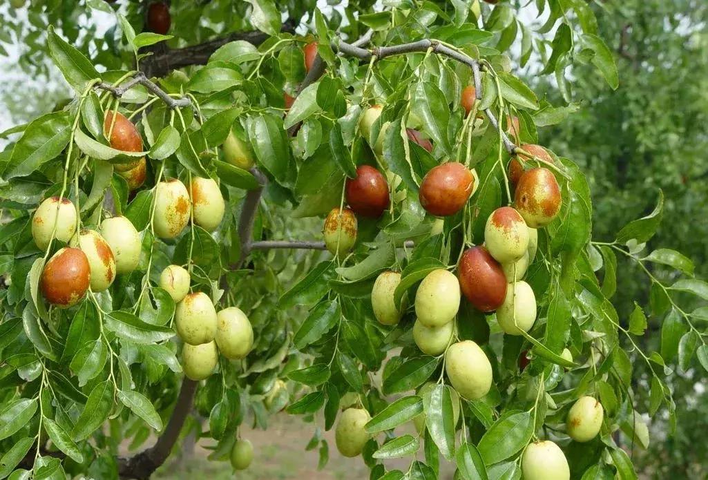 千年古县山水图,千年古县山水之城